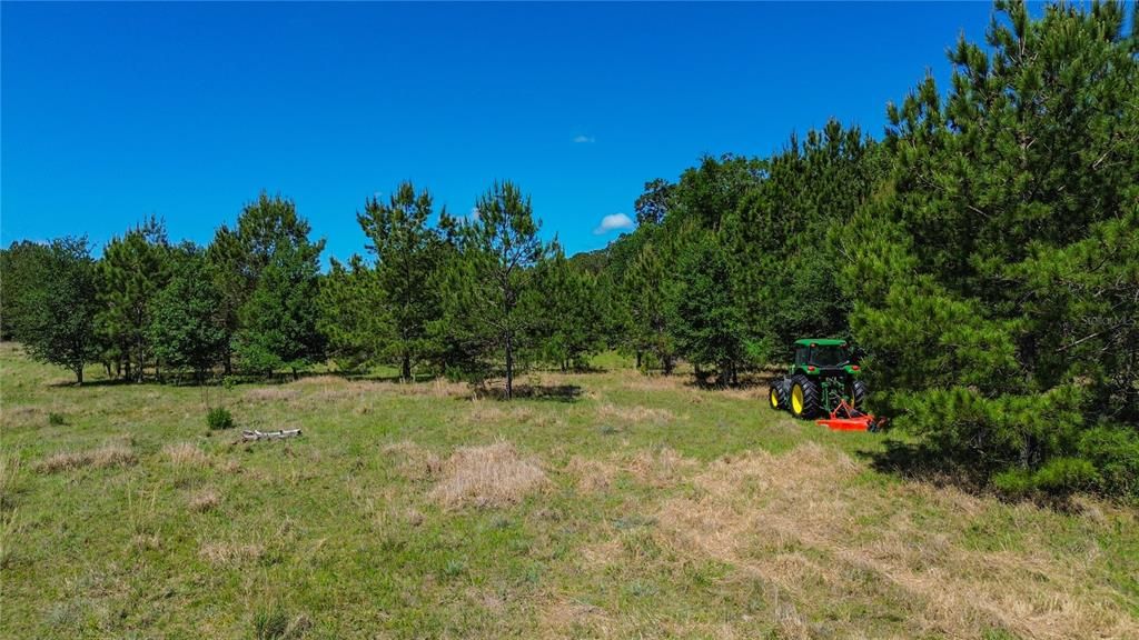 En Venta: $750,000 (10.50 acres)