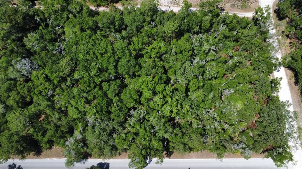 待售: $24,999 (0.23 acres)