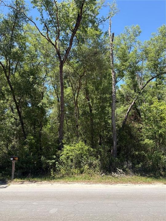 待售: $24,999 (0.23 acres)