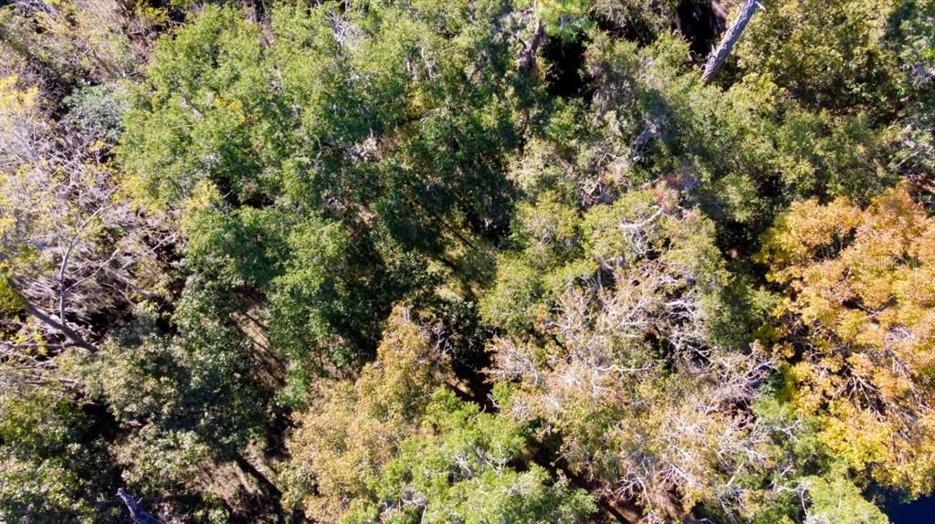 For Sale: $135,000 (0.30 acres)