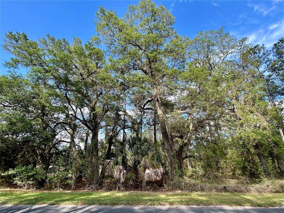 For Sale: $175,000 (3.52 acres)