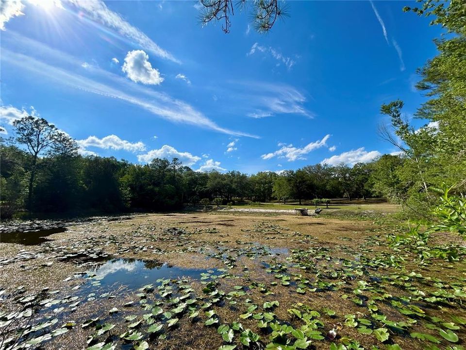 For Sale: $175,000 (3.52 acres)
