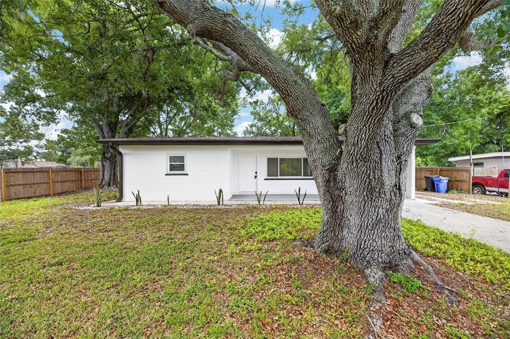 For Sale: $319,995 (3 beds, 2 baths, 1428 Square Feet)