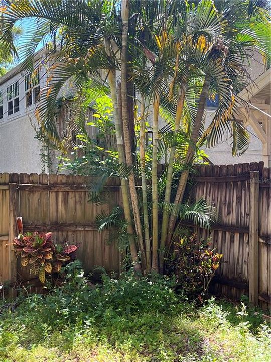 Activo con contrato: $2,400 (2 camas, 2 baños, 1250 Pies cuadrados)