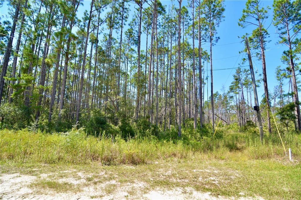 En Venta: $185,000 (12.70 acres)