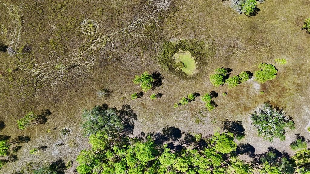 En Venta: $185,000 (12.70 acres)