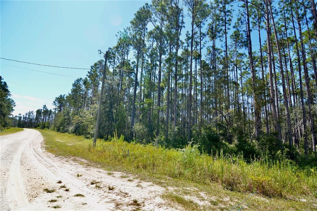 En Venta: $185,000 (12.70 acres)