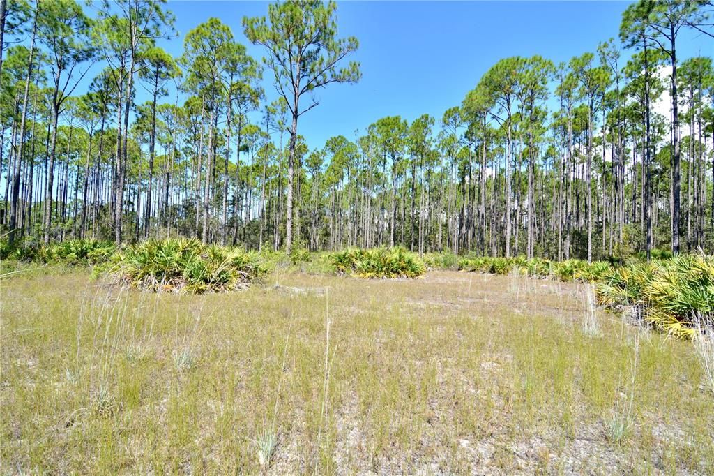 En Venta: $185,000 (12.70 acres)