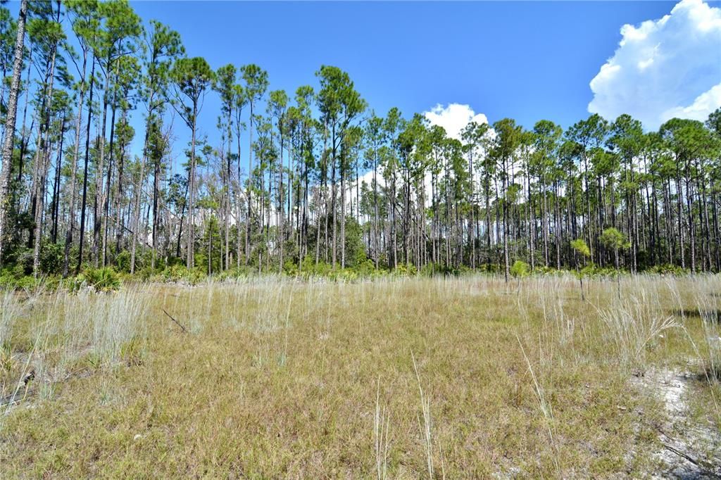 En Venta: $185,000 (12.70 acres)