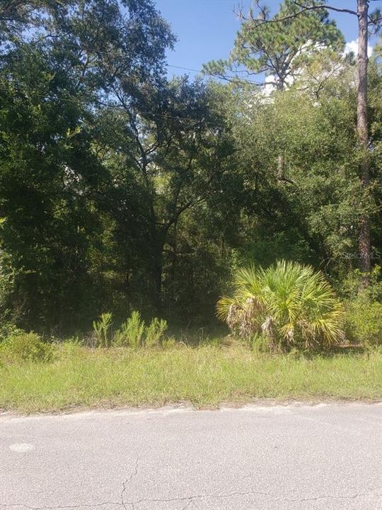 For Sale: $19,999 (0.24 acres)