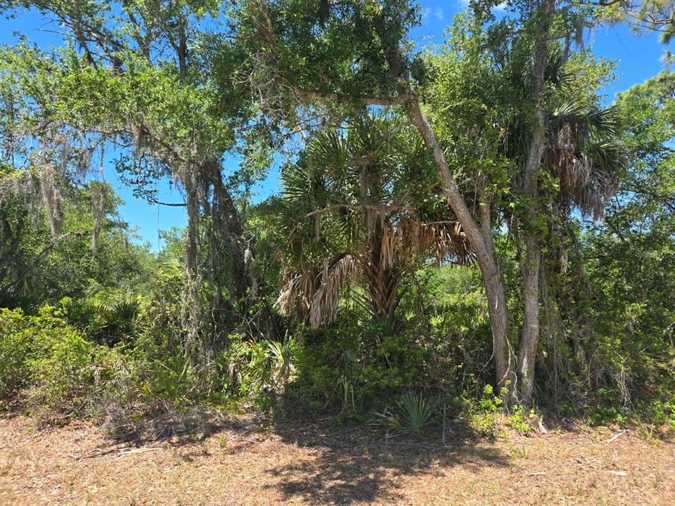 待售: $23,000 (0.23 acres)