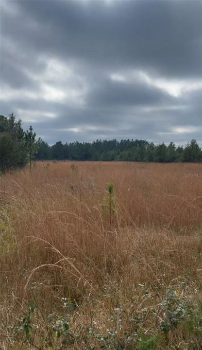 На продажу: $129,999 (12.81 acres)