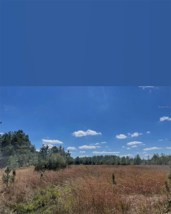 На продажу: $129,999 (12.81 acres)