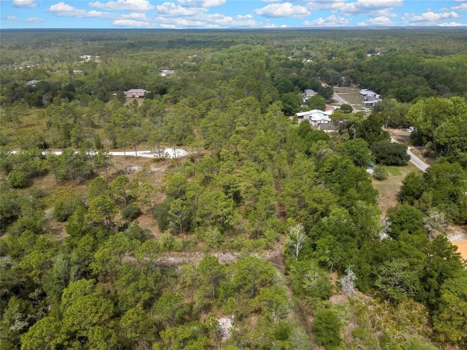 En Venta: $59,900 (1.55 acres)