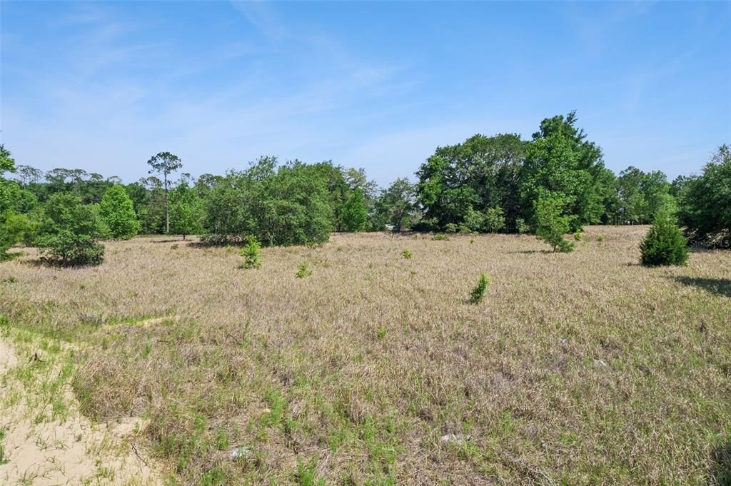For Sale: $46,000 (0.46 acres)