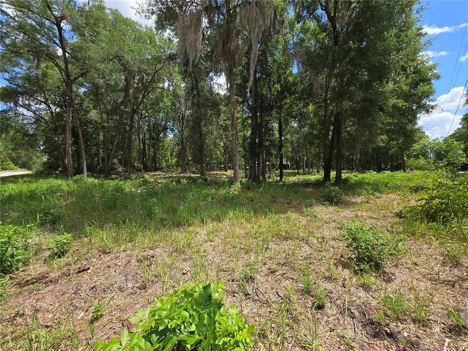 待售: $37,000 (0.24 acres)