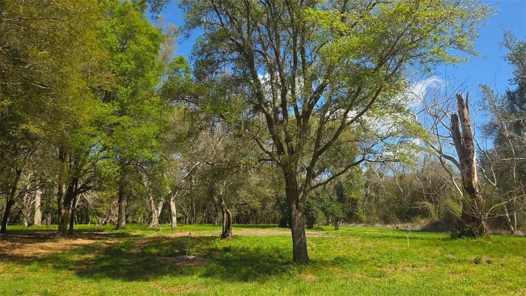 For Sale: $1,500,000 (90.00 acres)