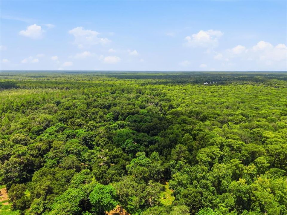 For Sale: $1,050,000 (90.00 acres)