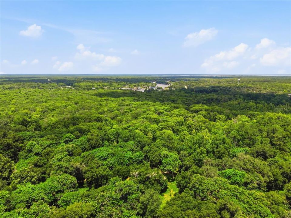 For Sale: $1,050,000 (90.00 acres)