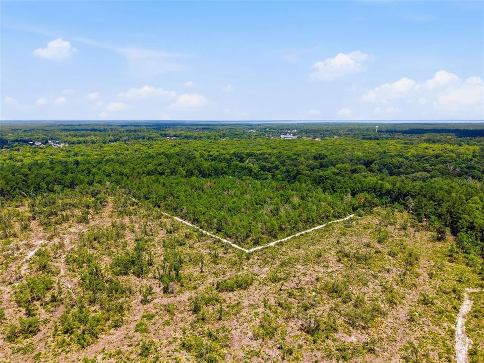 For Sale: $1,050,000 (90.00 acres)