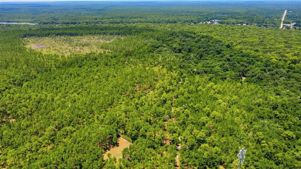 For Sale: $1,050,000 (90.00 acres)