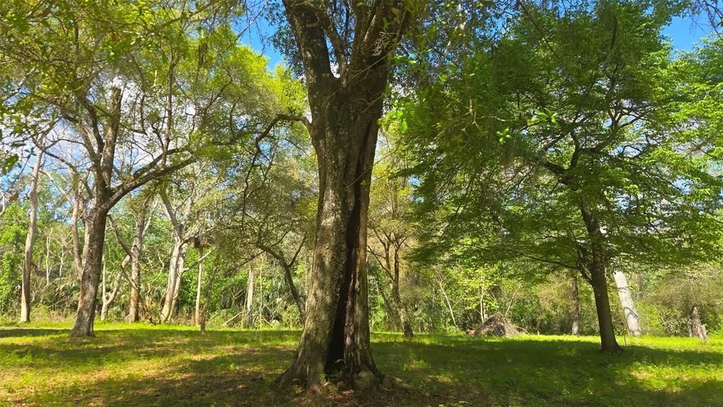 For Sale: $1,500,000 (90.00 acres)