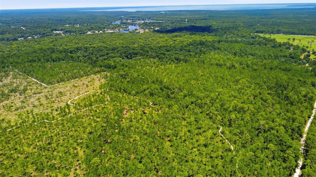 For Sale: $1,050,000 (90.00 acres)