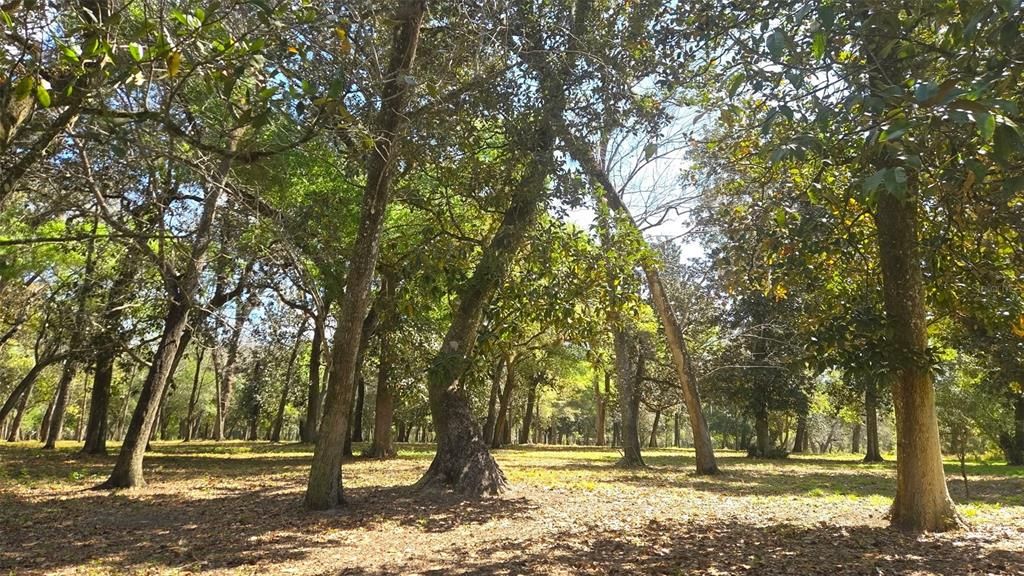 For Sale: $1,500,000 (90.00 acres)