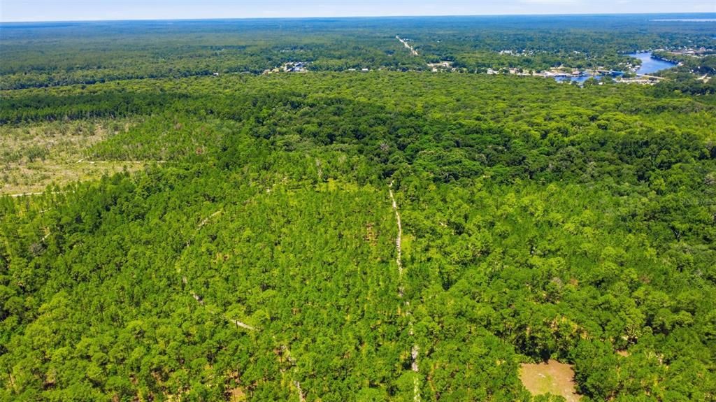 For Sale: $1,050,000 (90.00 acres)
