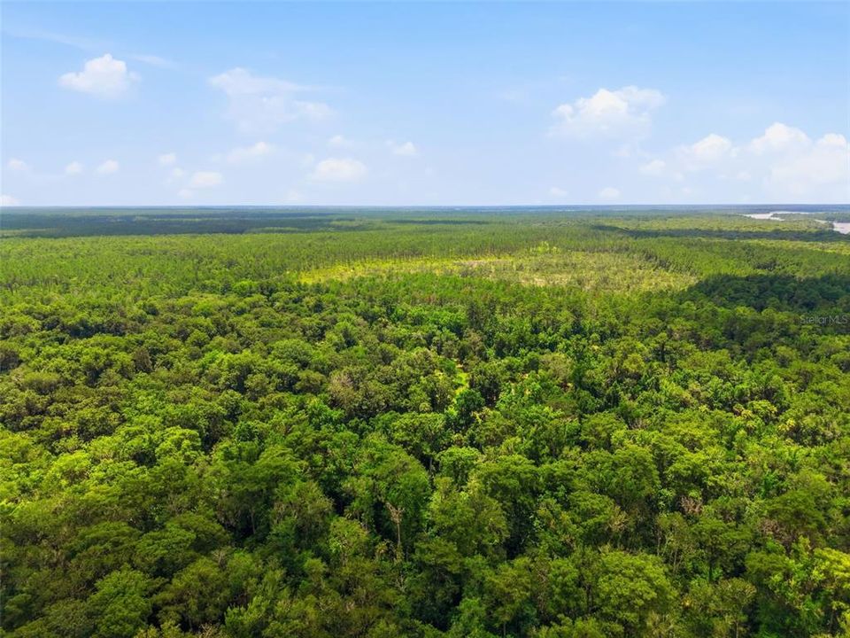 For Sale: $1,050,000 (90.00 acres)