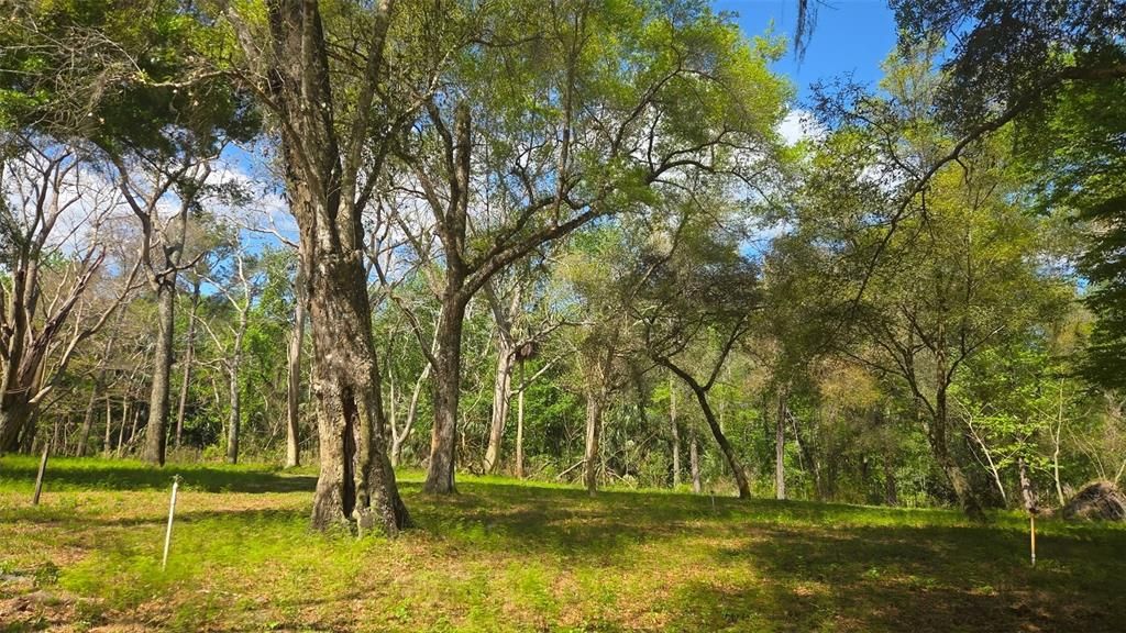 For Sale: $1,500,000 (90.00 acres)