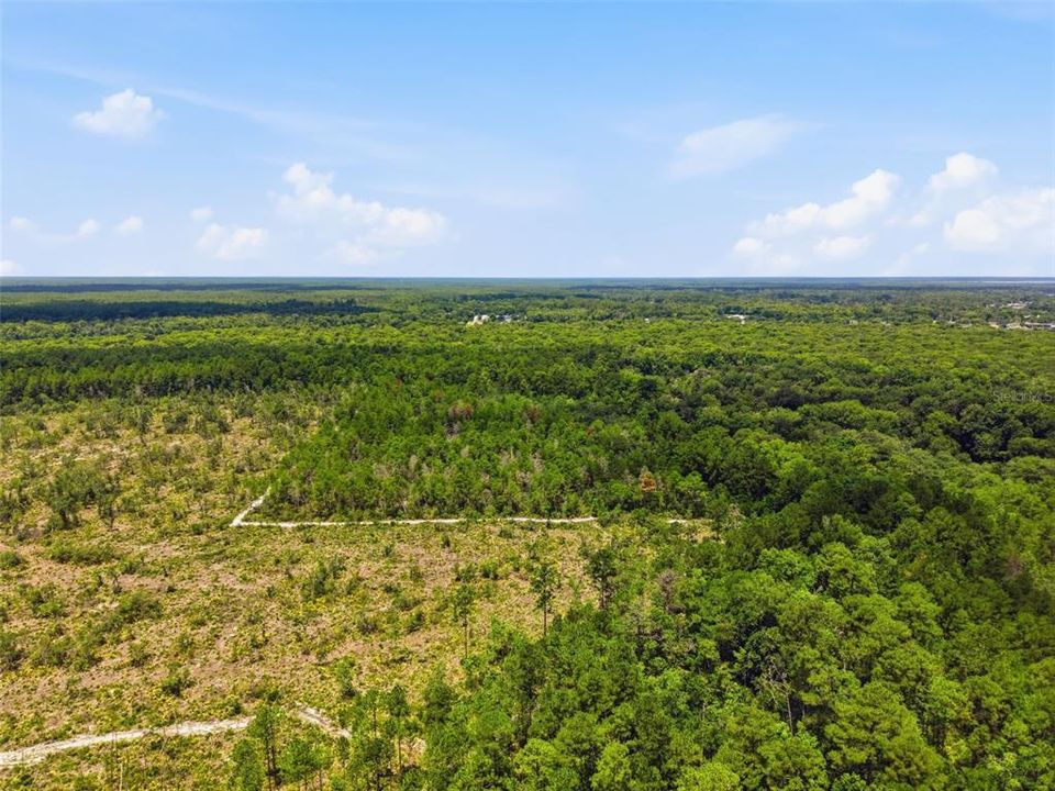 For Sale: $1,050,000 (90.00 acres)