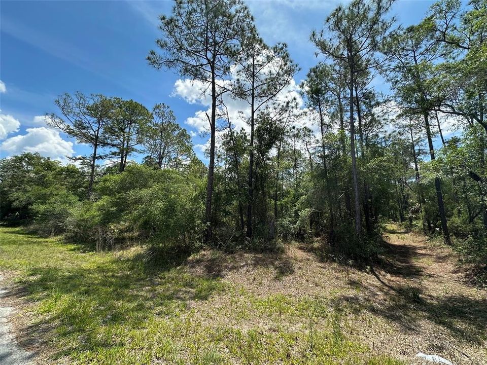Recently Sold: $26,500 (1.16 acres)