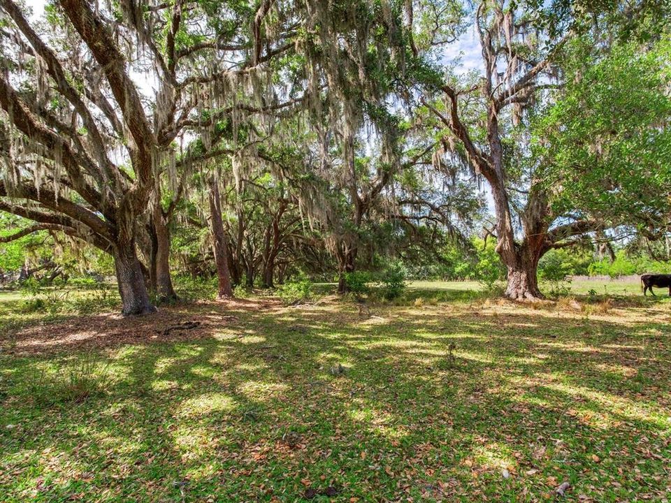 En Venta: $1,150,000 (18.97 acres)