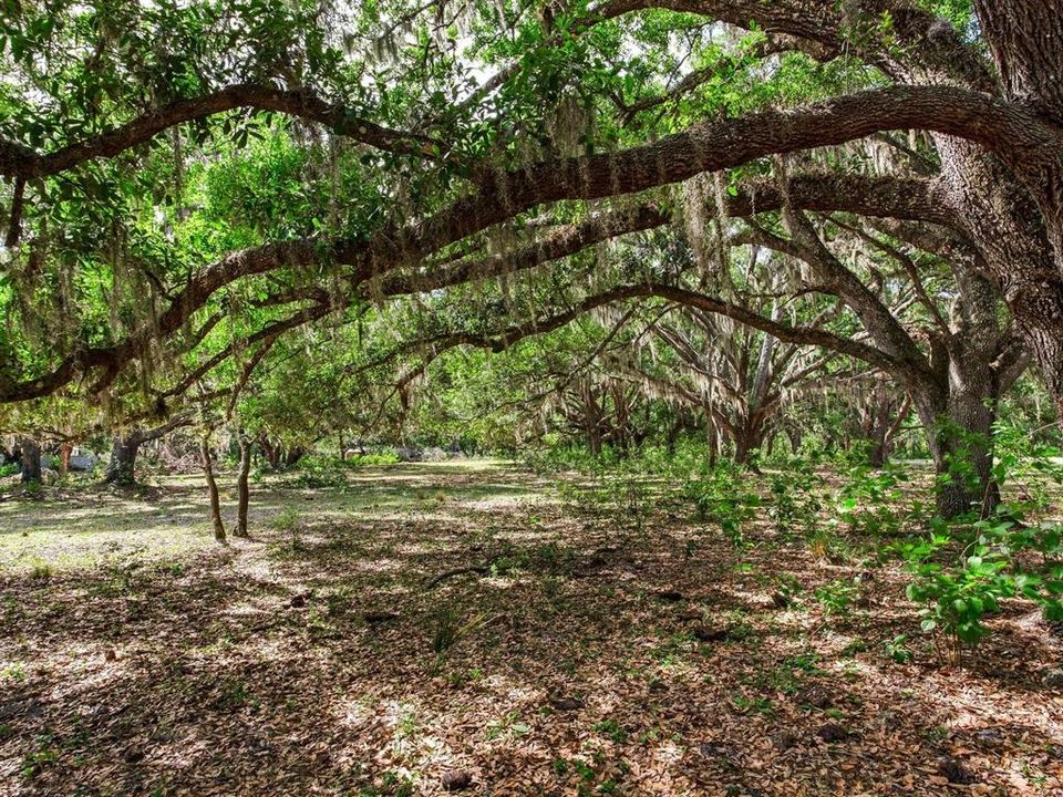 En Venta: $1,150,000 (18.97 acres)