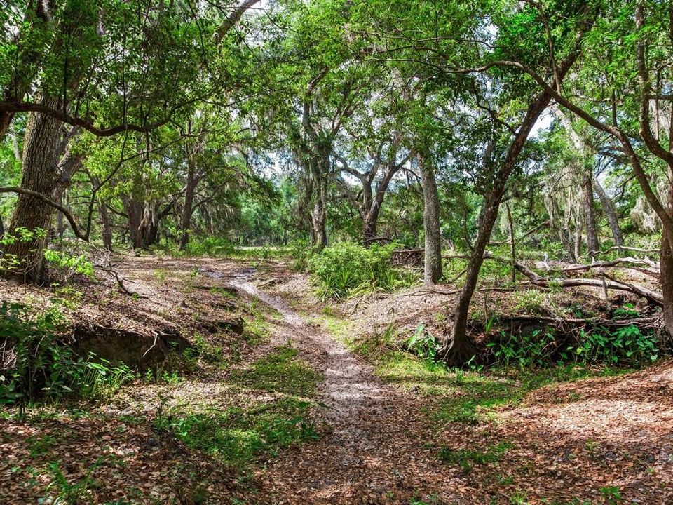 En Venta: $1,150,000 (18.97 acres)