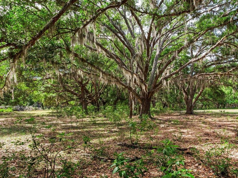 En Venta: $1,150,000 (18.97 acres)