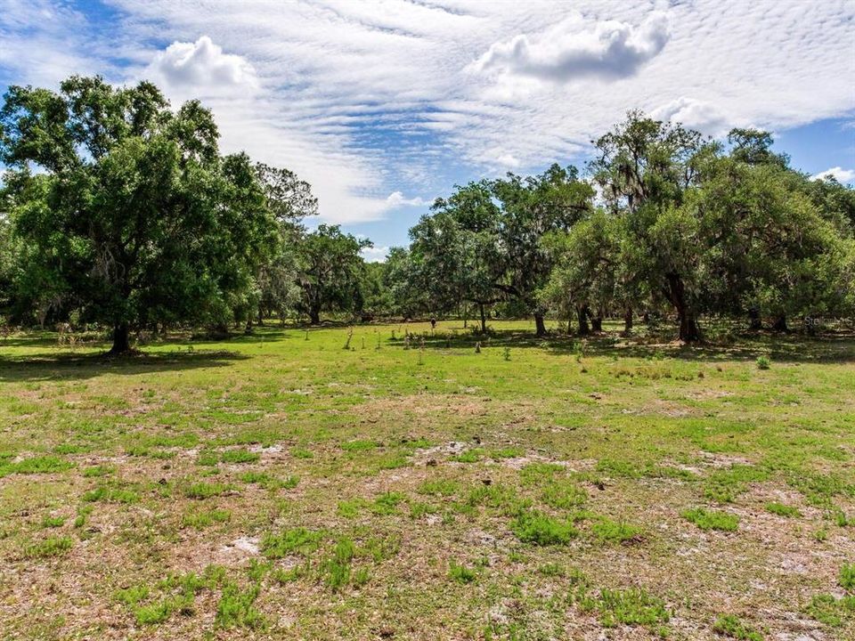 En Venta: $1,150,000 (18.97 acres)