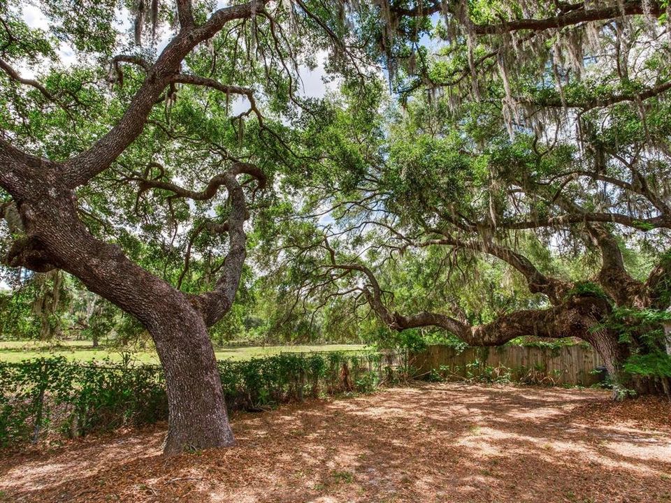 En Venta: $1,150,000 (18.97 acres)