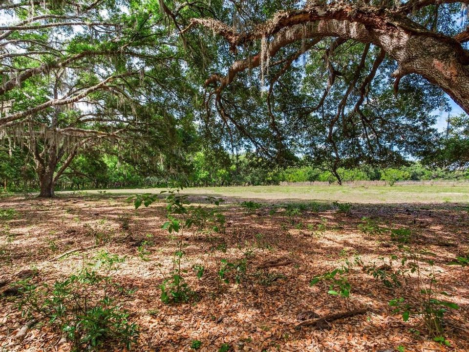 En Venta: $1,150,000 (18.97 acres)