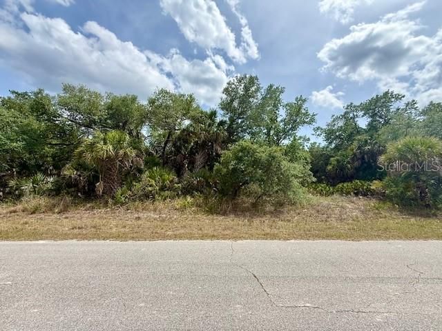 待售: $43,000 (0.45 acres)