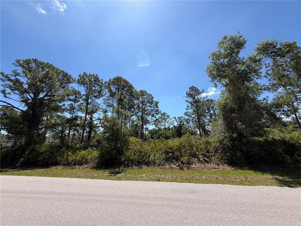 Active With Contract: $33,900 (0.22 acres)
