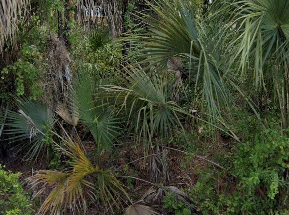 На продажу: $25,000 (0.23 acres)