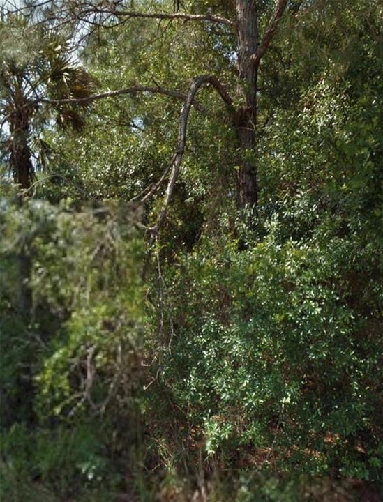 待售: $25,000 (0.23 acres)