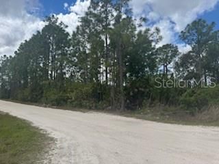 待售: $65,000 (1.25 acres)