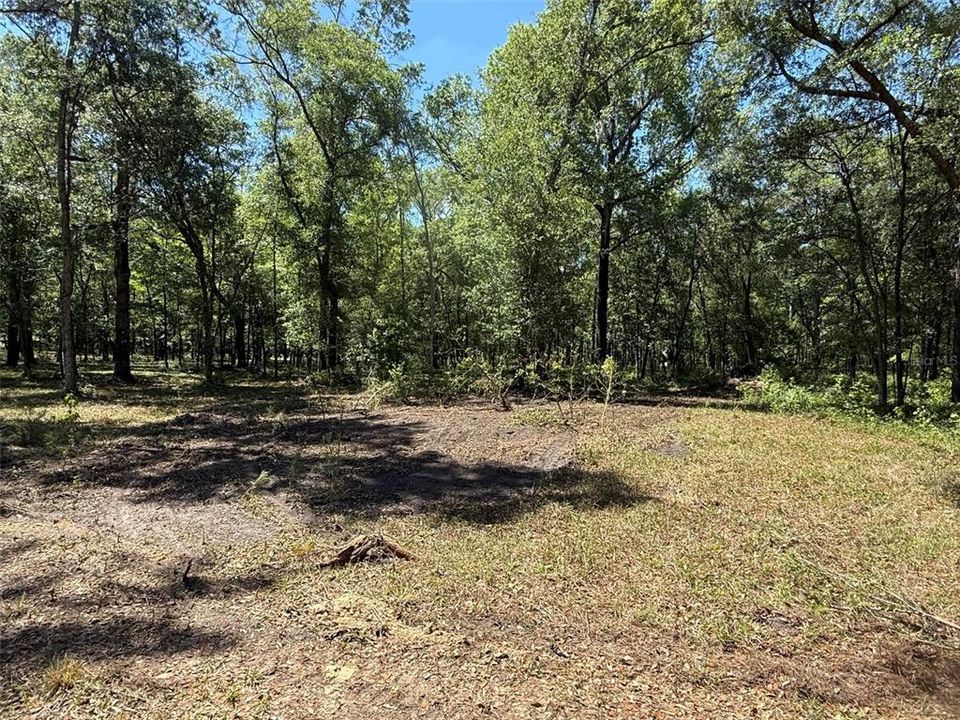 На продажу: $285,000 (6.02 acres)