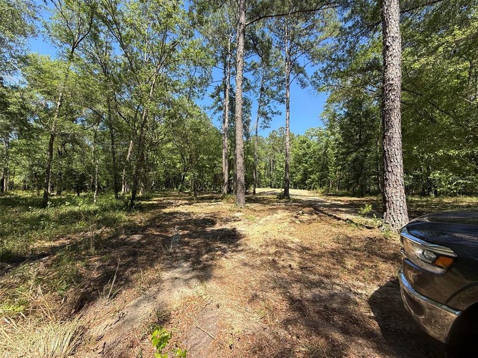 На продажу: $285,000 (6.02 acres)