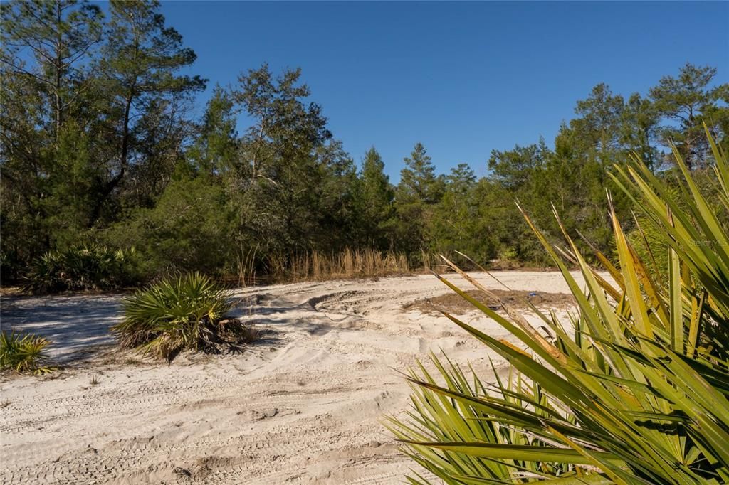 For Sale: $1,650,000 (209.00 acres)
