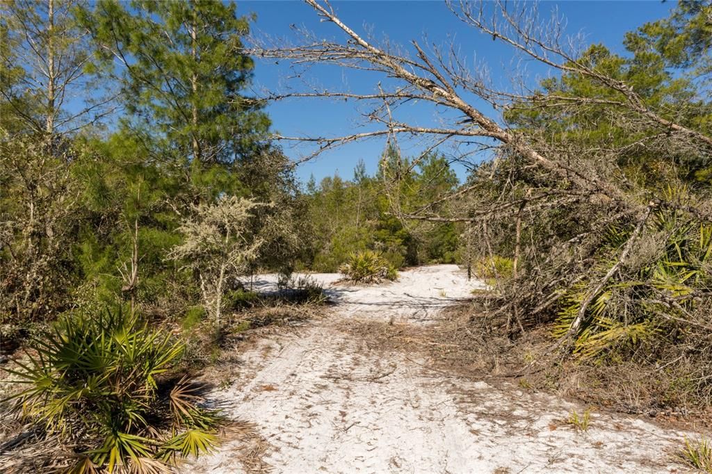 For Sale: $1,650,000 (209.00 acres)