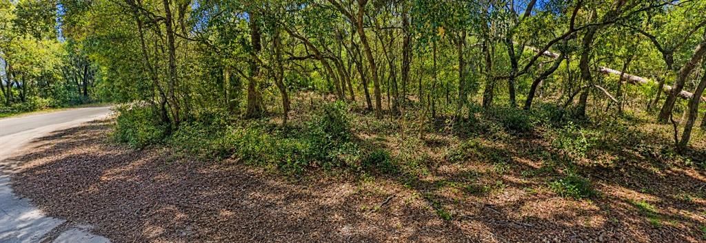 For Sale: $20,000 (0.50 acres)